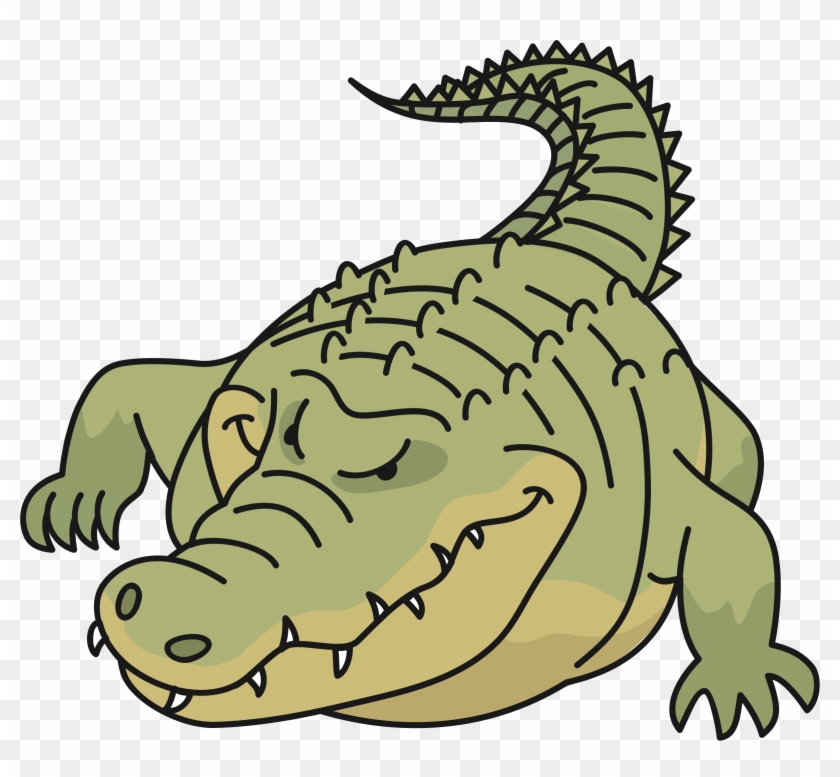 Crocodile - Crocodiles #933652
