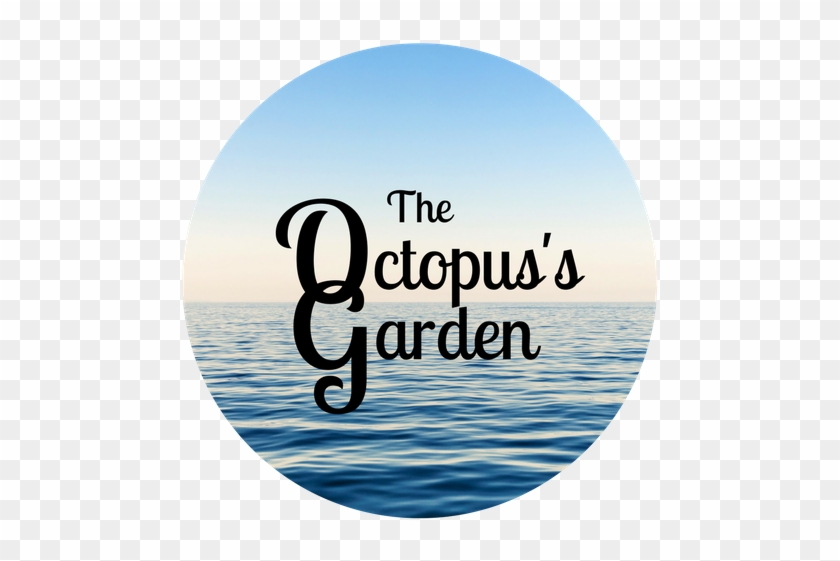 Octopus's Garden - Sea #933778