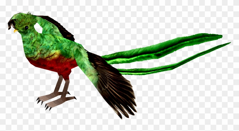Resplendent Quetzal - Quetzal .png #933831