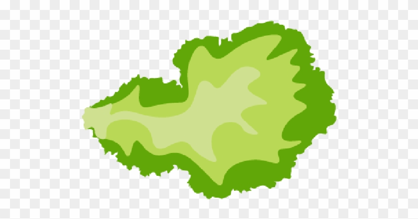 Lettuce Clipart - Illustration #933879