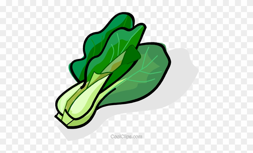 Lettuce Clipart Sawi - Green Vegetables Clipart #933881