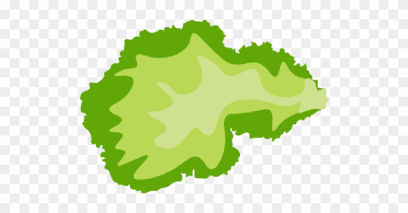 A Picture Of Lettuce - Graphic Design #933976