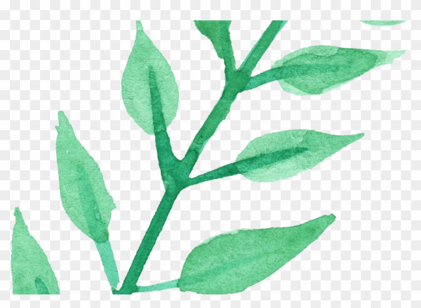 25 Watercolor Leaf Vol 3 Onlygfxcom - Transparency #933996