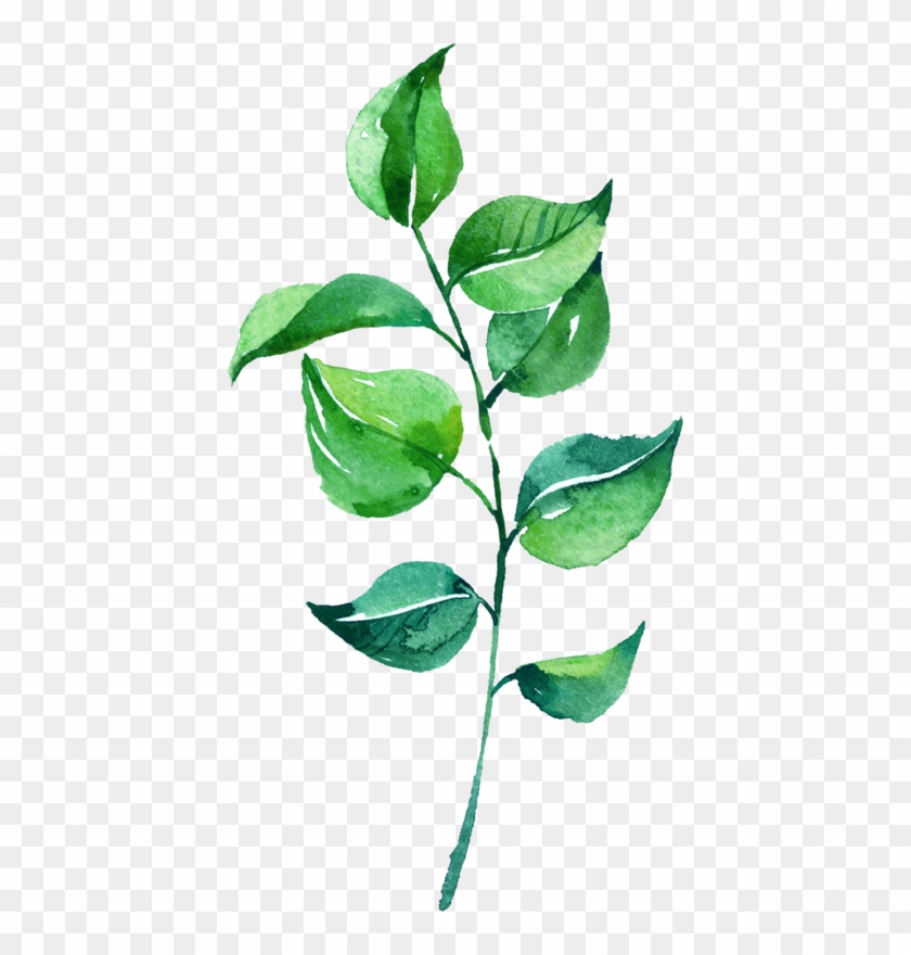 Leaf Watercolor Painting - Watercolor Green Leaf Png #934083