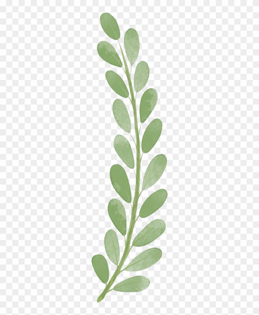 Download Png - Painted Leaf Png #934199