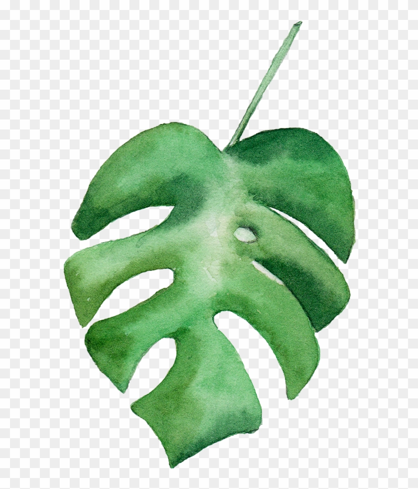 Leaf Watercolor Painting - Green Watercolor Leaf Png #934211