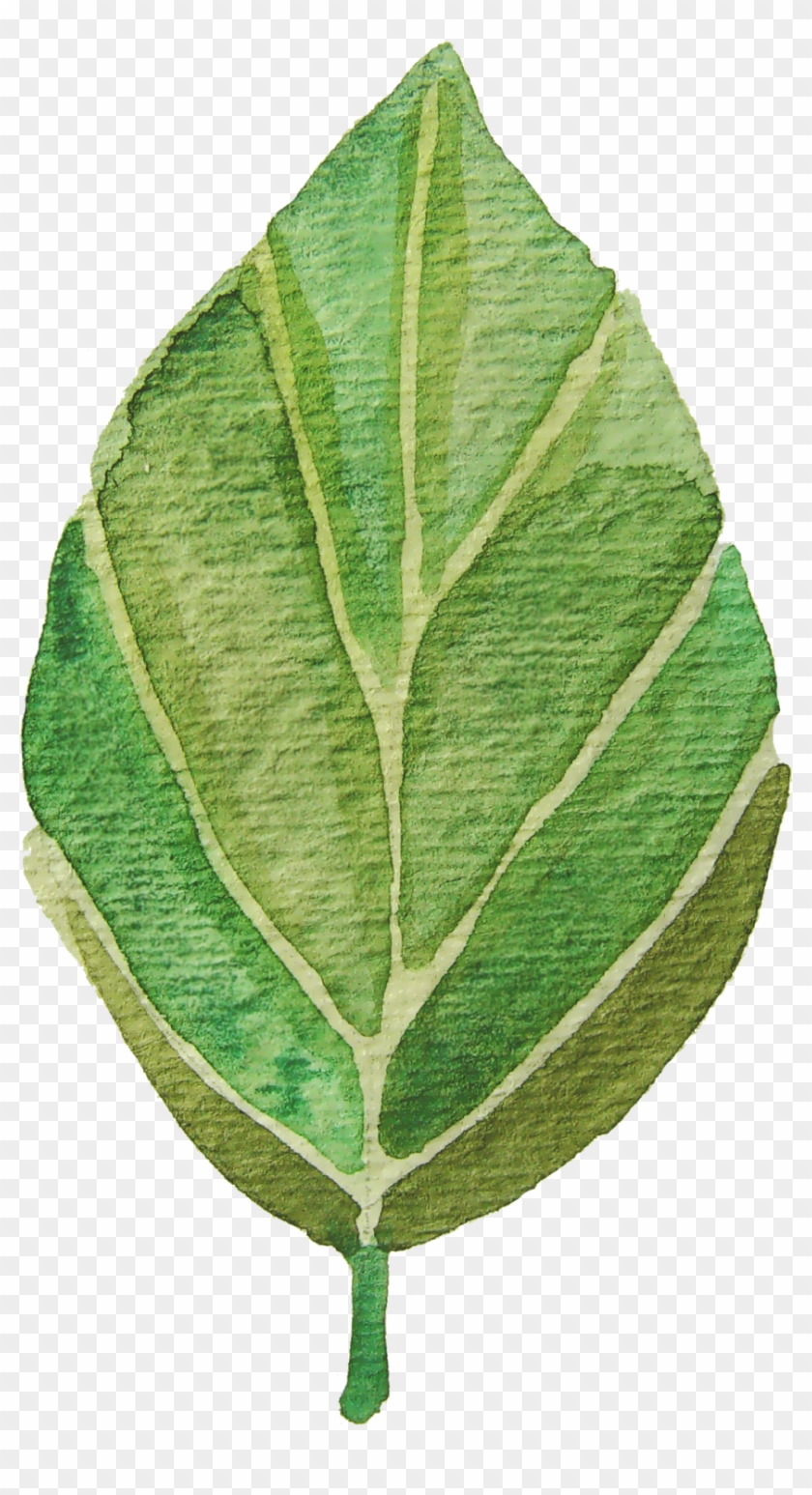 Eshan - Leaf Watercolor Clip Art Free #934215