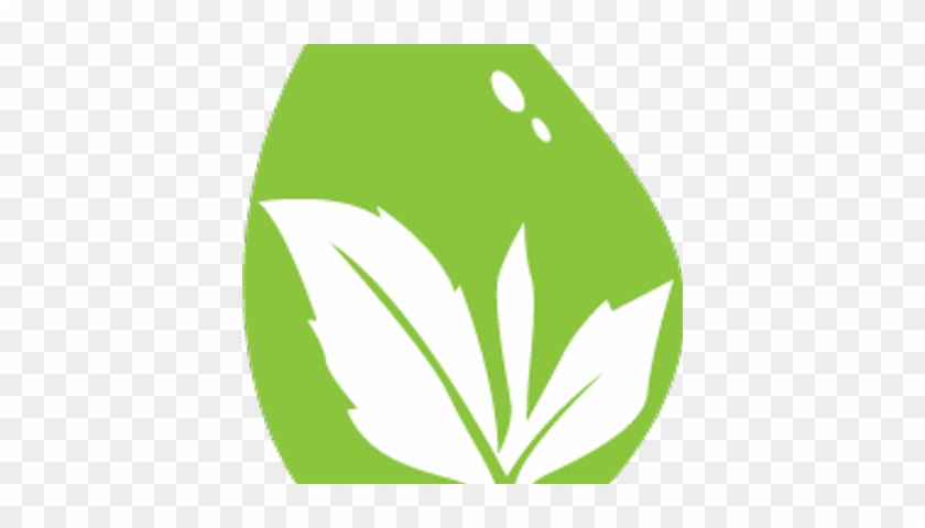 Raindrop Teas - Raindrop Teas #934246