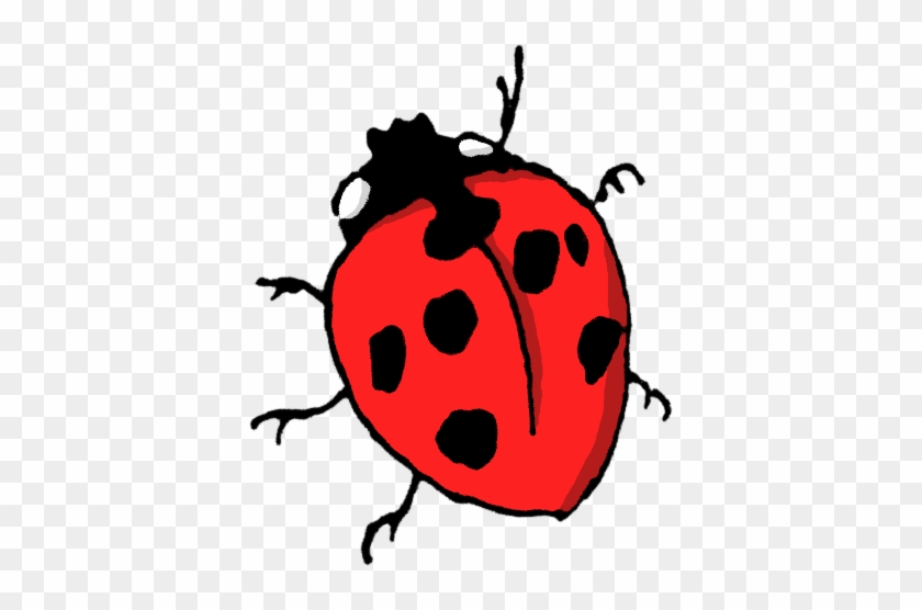 Animals/ Insects/ Cartoon/ Ladybug-2 - Animals Insect Cartoon Png #934274