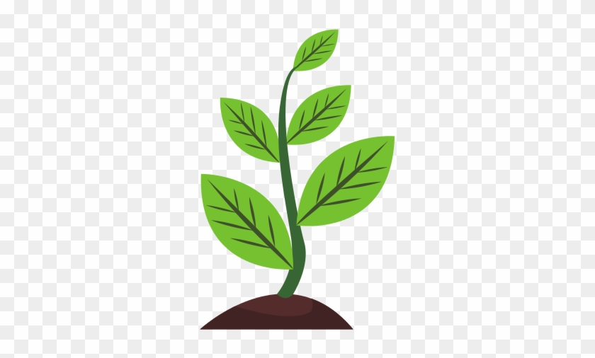 Plant Sapling Growing Illustration - Illustration #934455