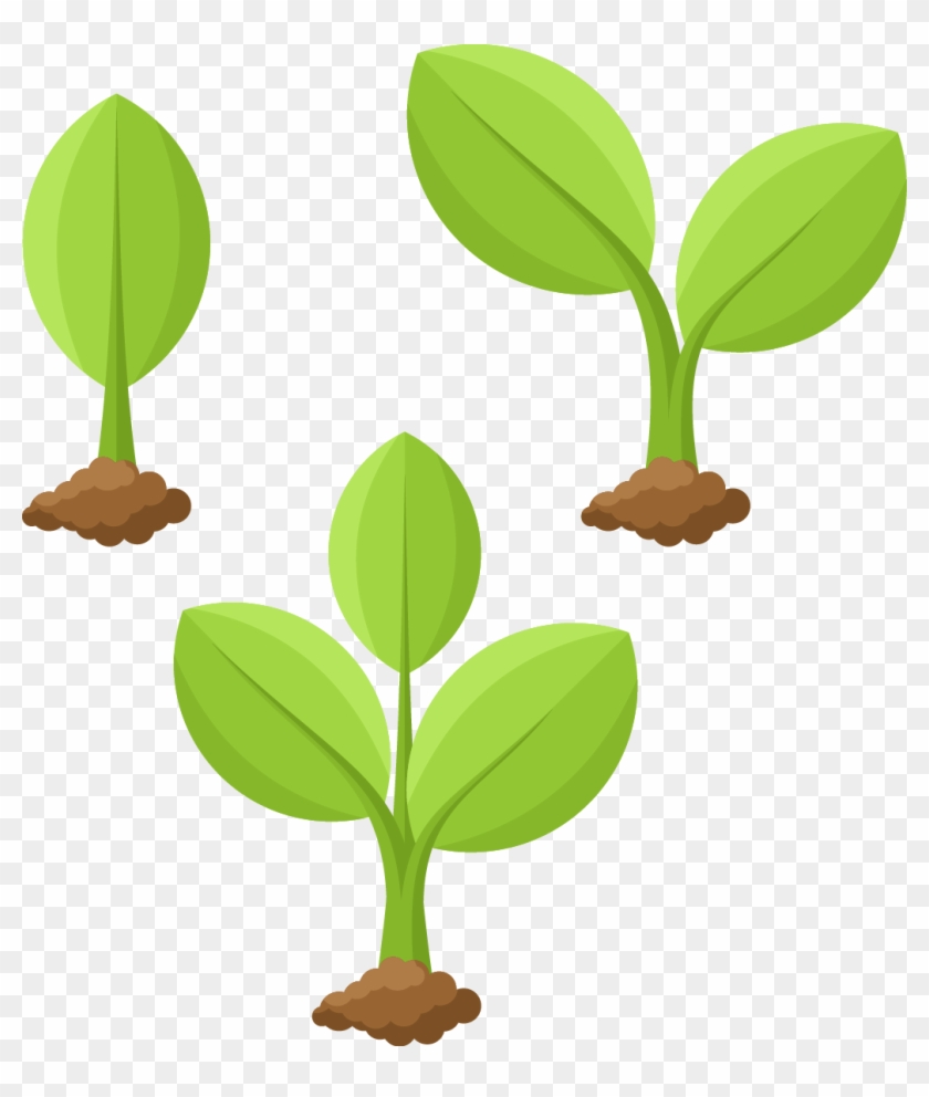 Plant Cartoon Illustration - Plant Growing Cartoon - Free Transparent PNG  Clipart Images Download