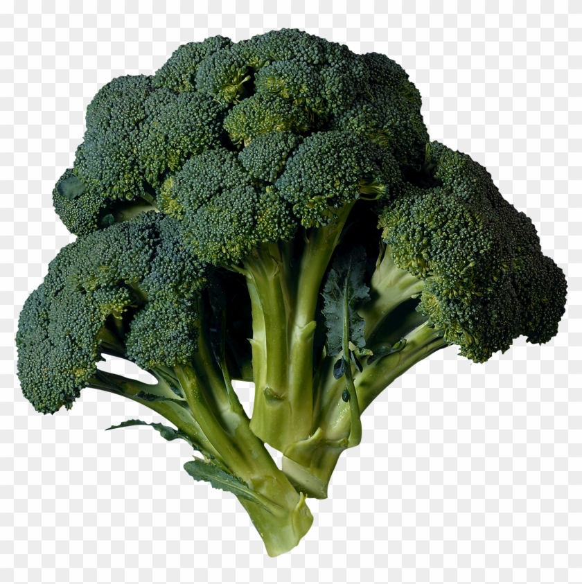 Transparency Broccoli Png Image - Broccoli Transparent #934500