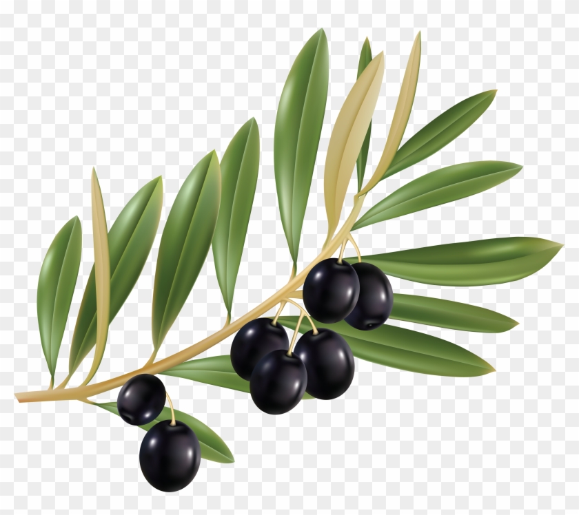 Transparency Olives Png Image - Olive Png #934530