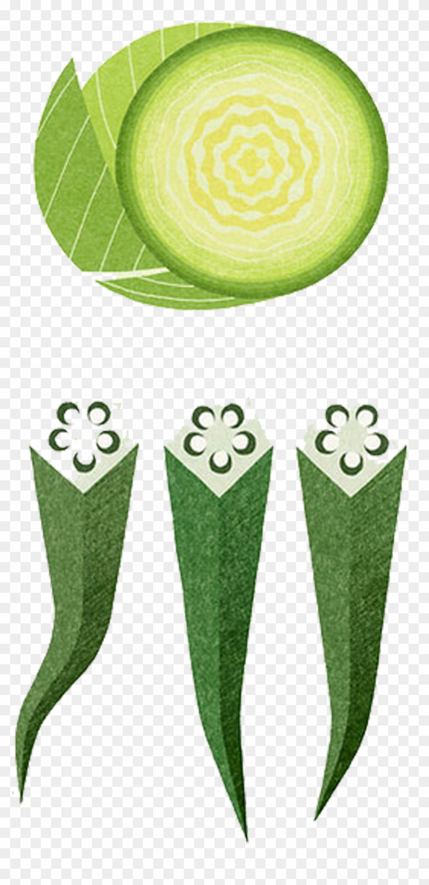 Okra Vegetable Painting Illustration - Illustration #934527