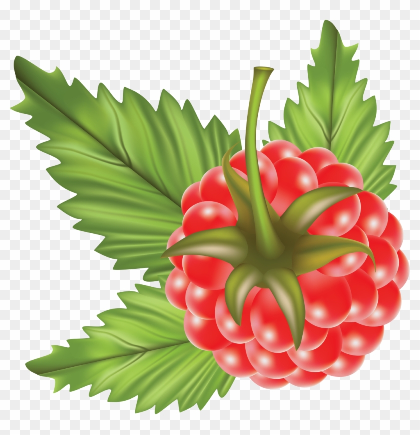 Transparency Raspberry Png Image - Vector #934579