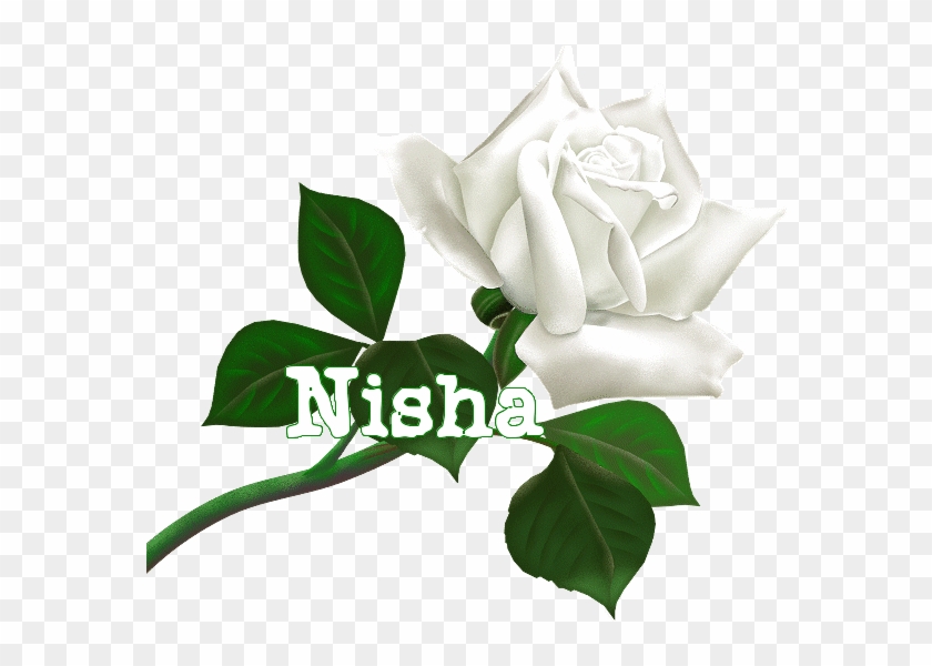 Thank You For Add Me #934576