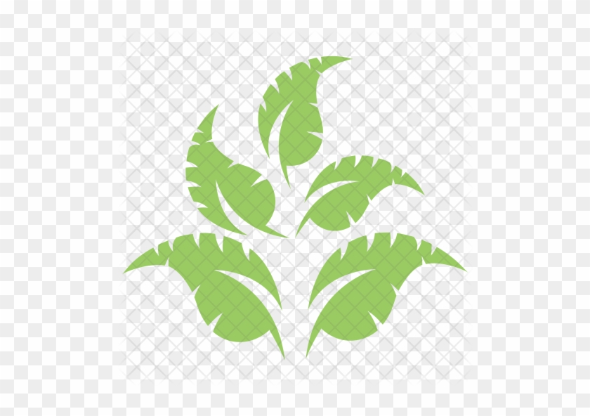 Apple Leaves Twig Icon - Leaf #934643