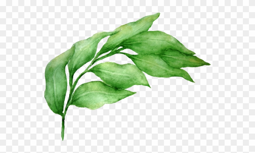 Mazangani - Vector Graphics #934648