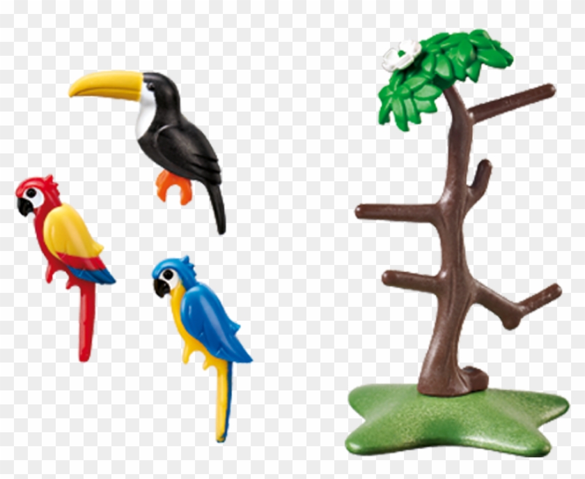 Tropical Birds - Tropical Birds Playmobil #935036