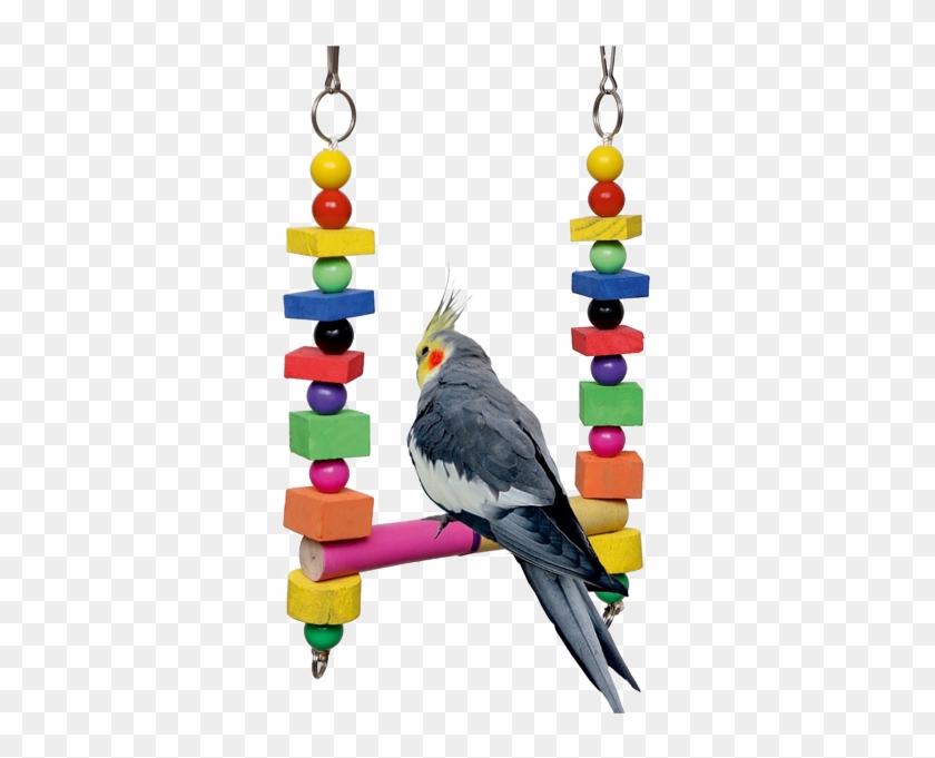 Aazil Multicolor Hanging Birds Swing Toy - Cockatiel #935043