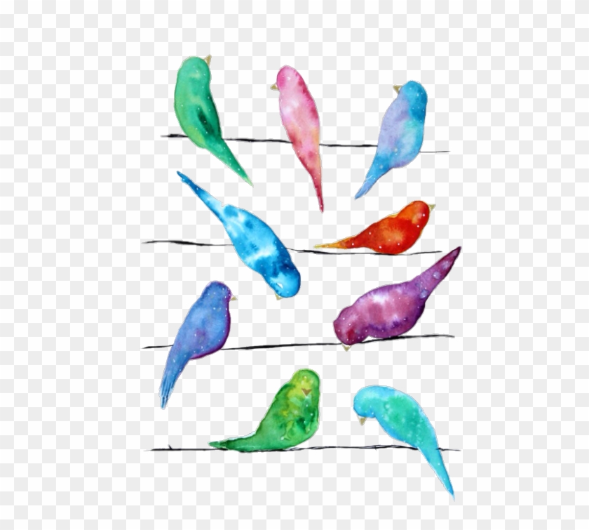 Transparent Galaxy Birds - Copyright Infringement #935056