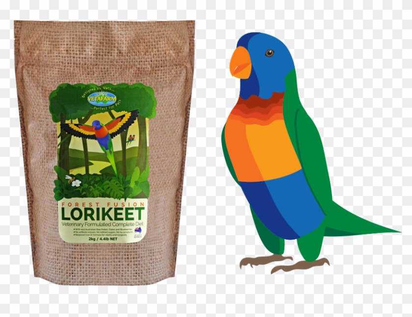 Forest Fusion Blog - Parrot #935058