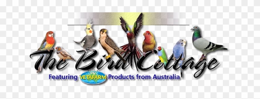 Vetafarm Products Bird Medications Bird Supplies Medicine - Liquid #935061