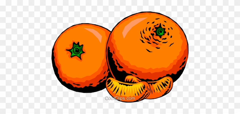 Two Oranges Royalty Free Vector Clip Art Illustration - Staffordshire #935086