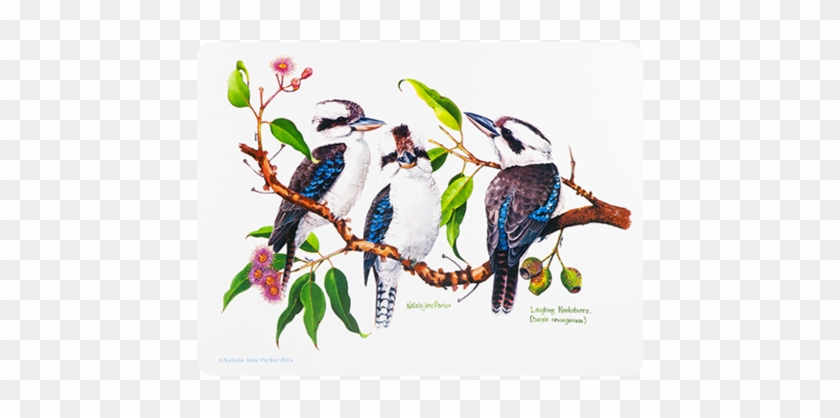 Ashdene Placemat Birds Of Australia Kookaburra - Ashdene Birds Of Australia Kookaburra Mug #935116