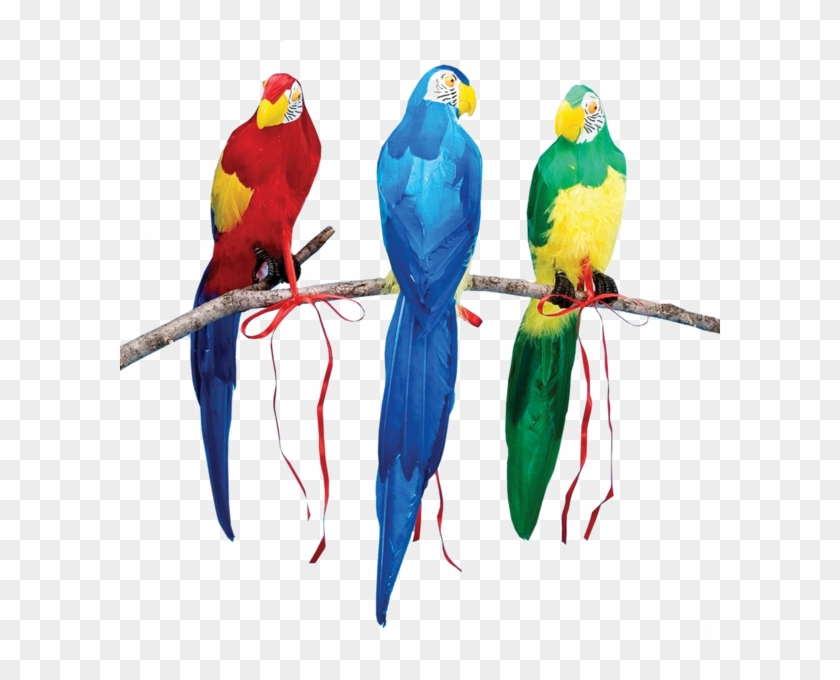 Parrots - Beistle Feathered Parrots, Assorted, 20" #935127