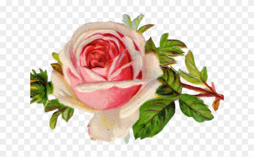 Vintage Flower Clipart Clip Art - Vintage Rose Clipart Png #935329