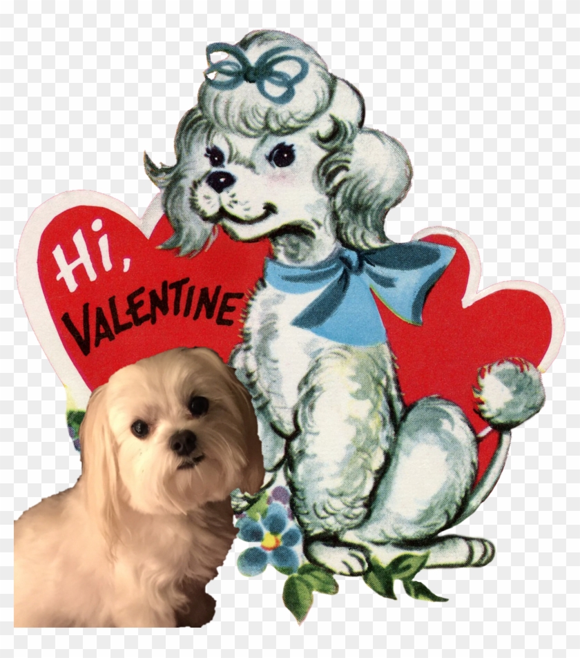Cody's Vintage Valentine's Day Party Ruby Lane Blog - Maltese #935435