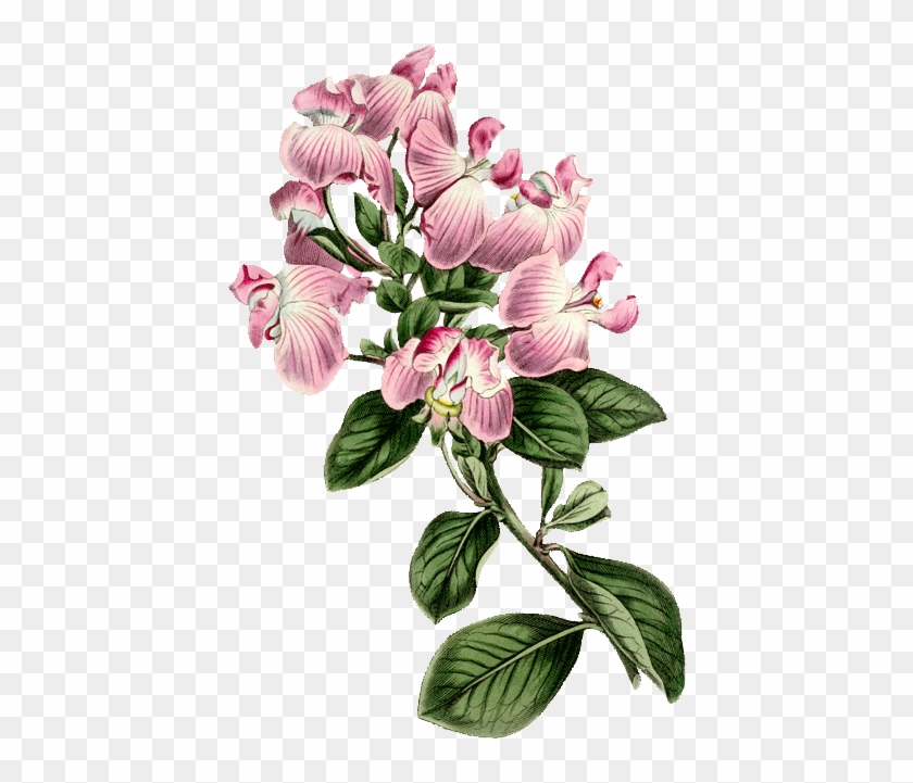 Flower #935440