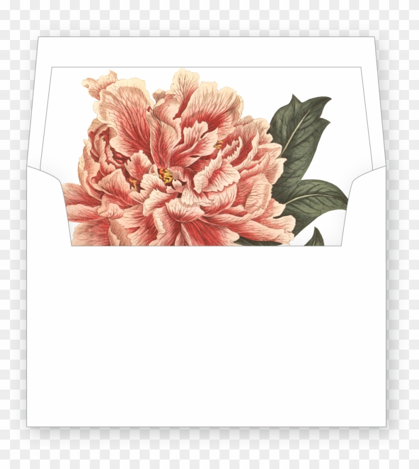 Vintage Roses Image Of Liner Design Vintage Peonies - Peony Floral Print #935554