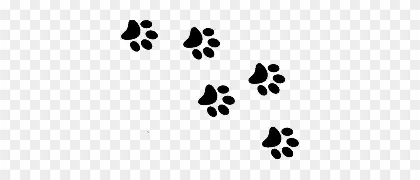 Coolest Cat Paw Print Clip Art Cat Paw Print Png Clipart - Wall Sticker Paw Prints #935924