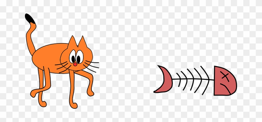 Cat, Animal, Orange, Fish, Dead - Dødt Dyr Png #935927