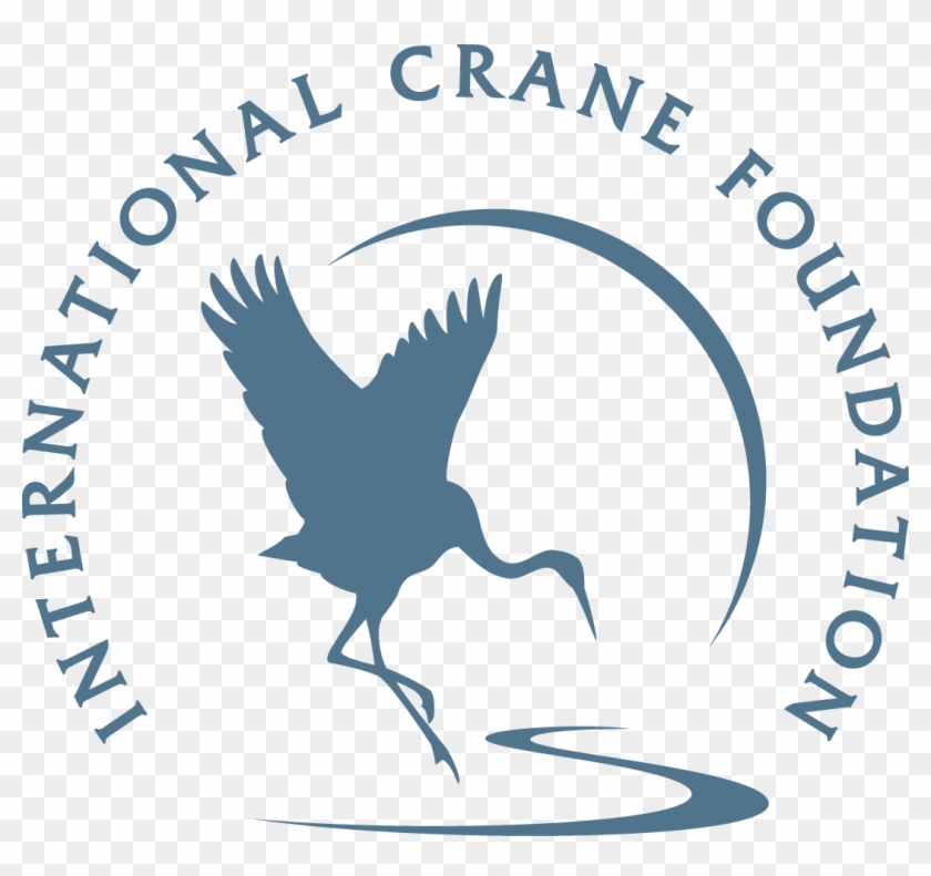 Whooping Crane Chick Rearing Internship - International Crane Foundation Logo #936101