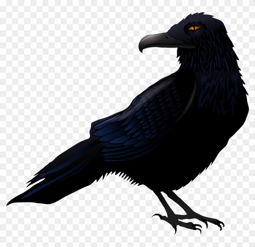 Halloween Raven Clip Art Clipart Free Download - Halloween Raven Png #936367