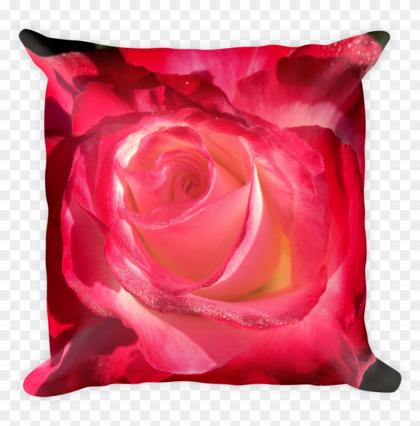 Image Of Rose Bud Pillow - Image Of Rose Bud Pillow #936678