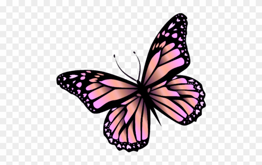 Butterfly Png #936709