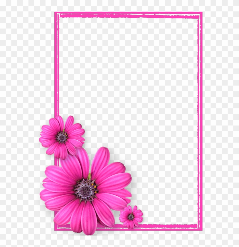 Pink Flower Frame Png Photos8 - Pink Flower Frame Png #936771