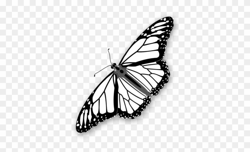 Monarch Butterfly Clipart Stencil - Black & White Monarch Butterfly #936825
