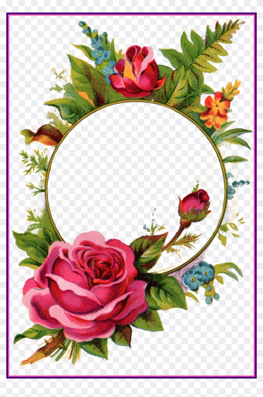 Rose Flower Rose Flower Frame Best Pix For U Vintage - Png Rose Frame #936831