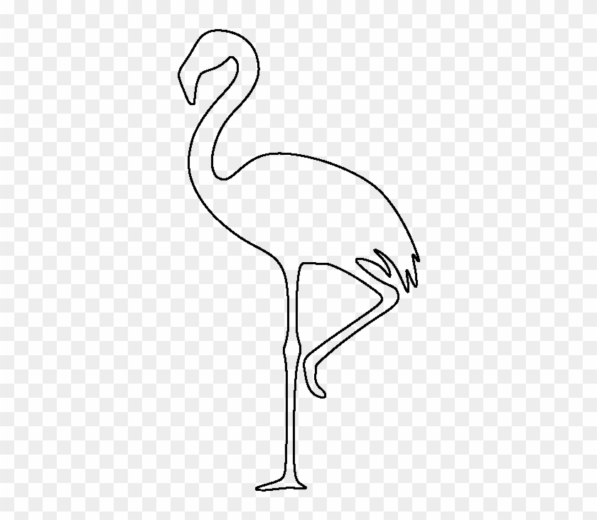 Drawing of Greater flamingo. Hand sketch of bird Phoenicopterus roseus,  black and white illustration Stock Illustration | Adobe Stock