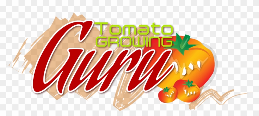 Tomato Growing Guru - Tomato Growing Guru #936999
