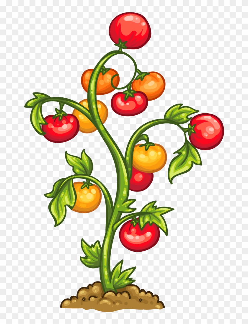 Pool Clip Art Rh Geostat2010 Info - Tomato Plant Png #937004