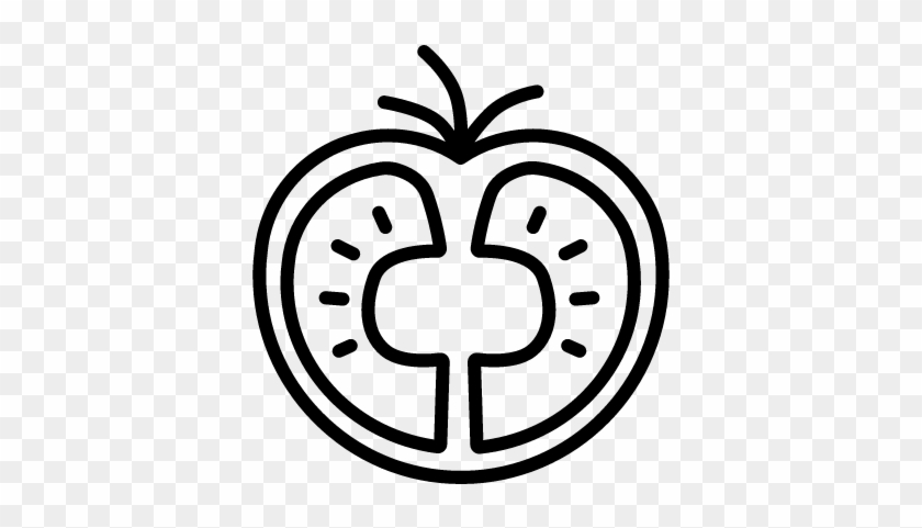 Half Tomato Vector - Tomato #937108