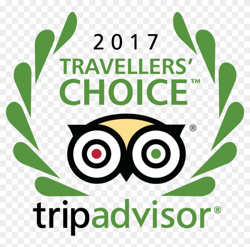 Para Tripadvisor, El Maam Es El Segundo Museo Más Popular - Tripadvisor Travellers Choice Awards 2017 #937819