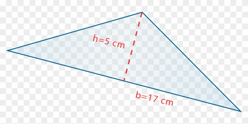 Notice That The Height Is Shown By The Dashed Line - Notice That The Height Is Shown By The Dashed Line #938229