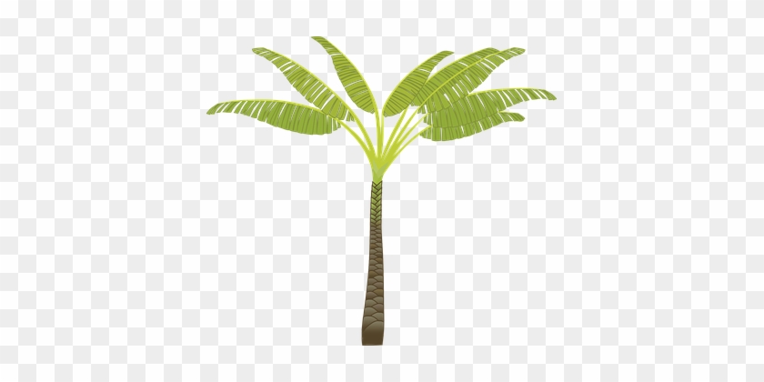 Palm Tree Palm Leaves Plant Tree Jungle Pa - Palm Tree Business Cards #938381